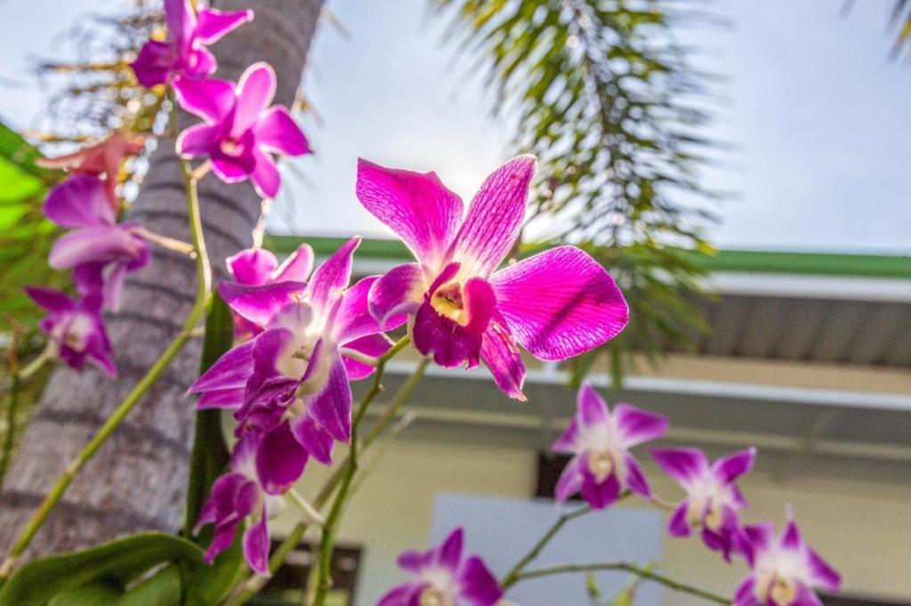 โอโย 450 ราไวย์ สตูดิโอ รีสอร์ต Hotel Rawai ภายนอก รูปภาพ